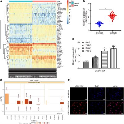 Long Non-coding RNA LINC01094 Promotes the Development of Clear Cell Renal Cell Carcinoma by Upregulating SLC2A3 via MicroRNA-184